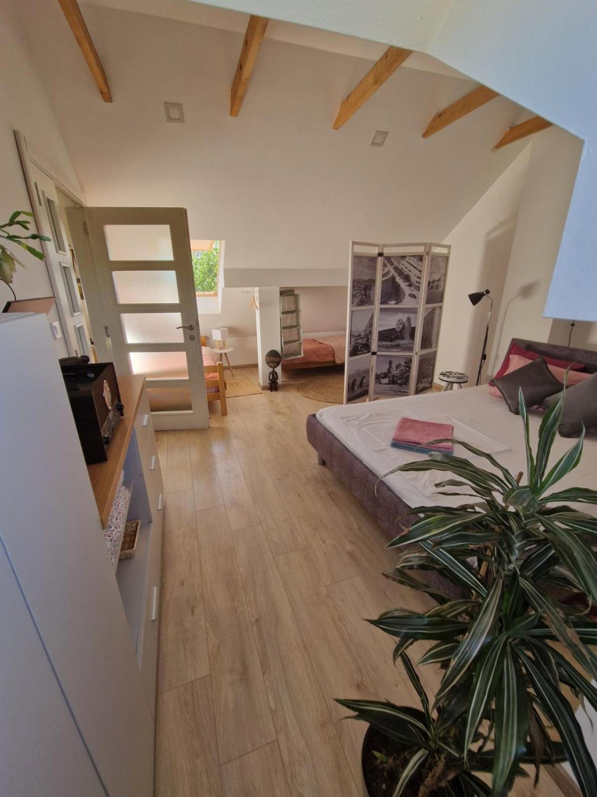 Apartamento House 11 Nikšić Exterior foto